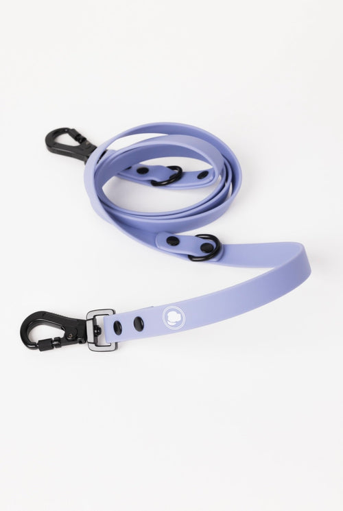 Lavender Purple Adjustable Dog Leash | All-Weather | The Modern Dog Company
